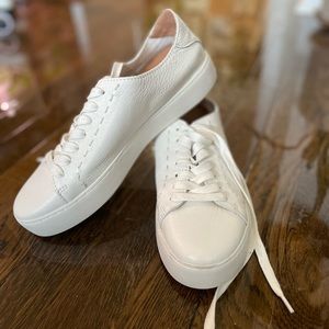 NWOT Frye Lena Low Lace Oxford Sneaker